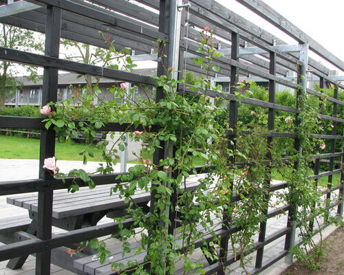 3 værelses lejlighed i Holsted