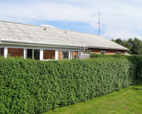2 værelses hus i Lemming