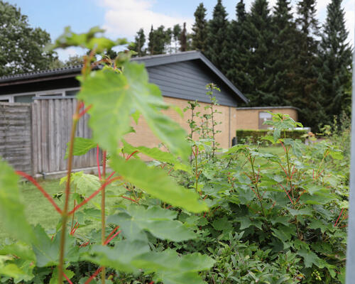 2 værelses hus i Rødding