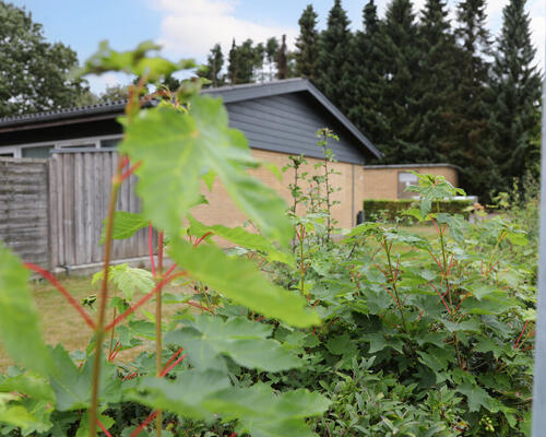 2 værelses hus i Rødding
