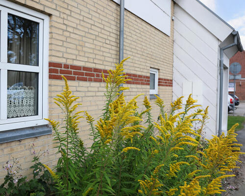 2 værelses hus i Rødding