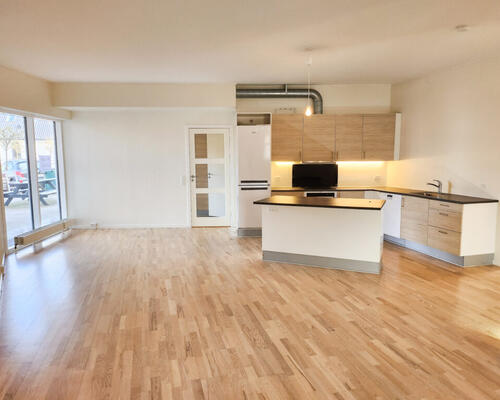 Renoveret og rummelig 4-værelses lejlighed