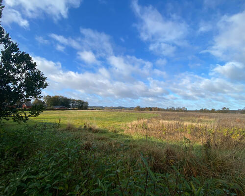 Lys og skøn 2-værelses lejlighed med udsigt til natur i Hobro