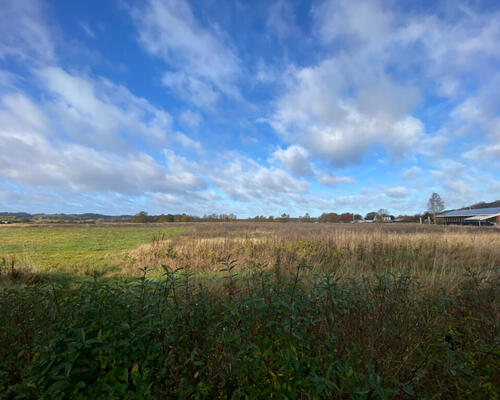Lys og skøn 2-værelses lejlighed med udsigt til natur i Hobro