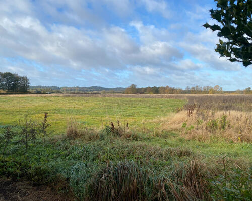 Lys og skøn 2-værelses lejlighed med udsigt til natur i Hobro