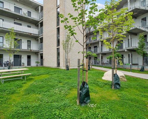 2 værelses lejlighed i Allerød