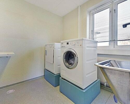 Studiebolig i Gistrup med mulighed for husdyr