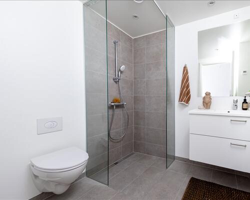 2 værelses lejlighed i Birkerød