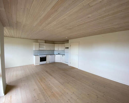 Flot 2 vær. lejlighed til leje i Billund. 66m2