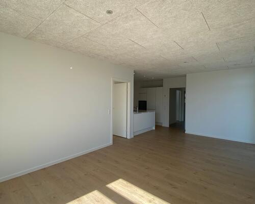 Nyt og indbydende rækkehus i Liseborg – Skovfryd