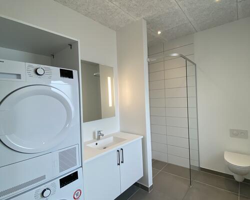 Nybygget dobbelthus med carport og have