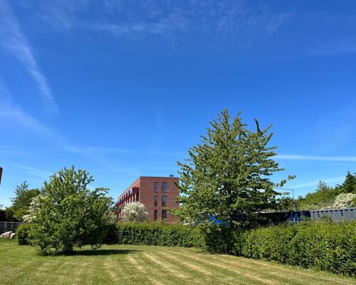 1 værelses lejlighed i Risskov