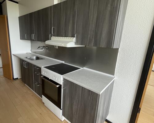 Stor delevnlig 4. værelses lejlighed