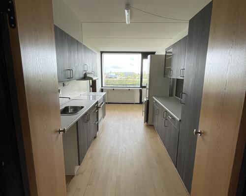 Stor delevnlig 4. værelses lejlighed