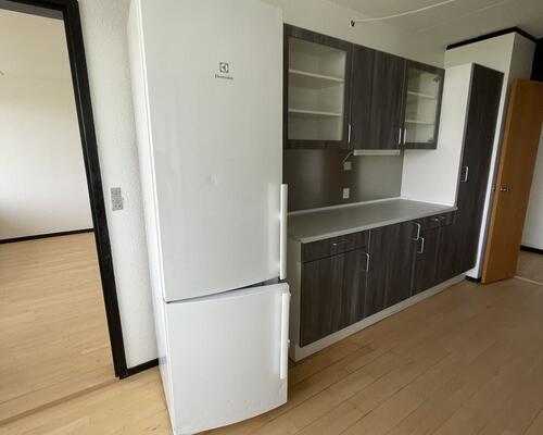 Stor delevnlig 4. værelses lejlighed