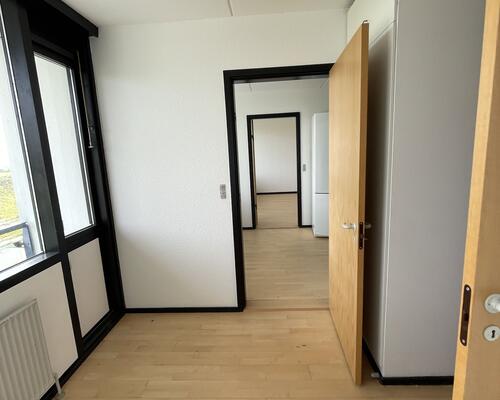 Stor delevnlig 4. værelses lejlighed