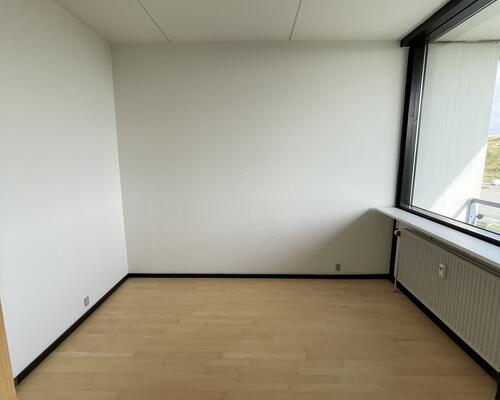 Stor delevnlig 4. værelses lejlighed