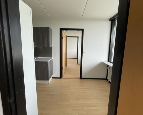 Stor delevnlig 4. værelses lejlighed