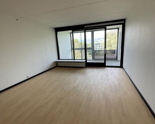 Stor delevnlig 4. værelses lejlighed