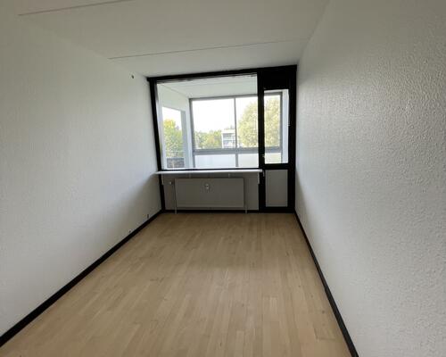 Stor delevnlig 4. værelses lejlighed