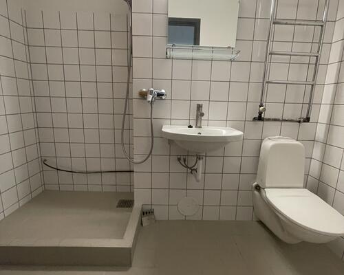 Stor delevnlig 4. værelses lejlighed