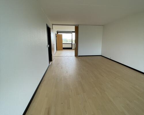 Stor delevnlig 4. værelses lejlighed