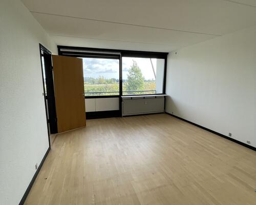 Stor delevnlig 4. værelses lejlighed