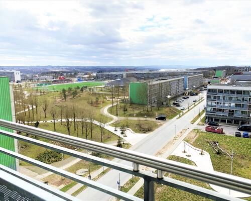 Tidsbegrænset lejlighed