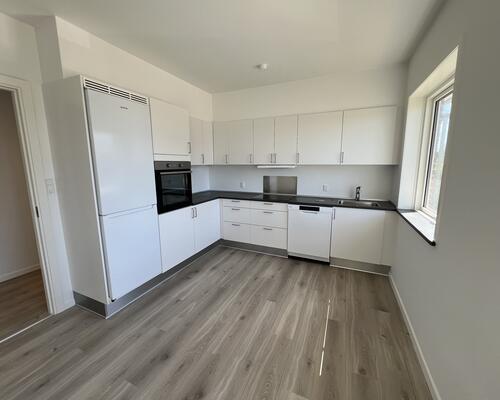 3 værelses lejlighed i Fredericia