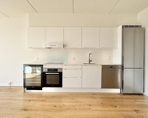 2 værelses – Roesskovsvej 20 A, 1. th. – Odense V