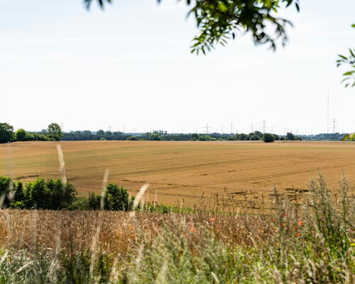 3 værelses hus i Stenløse