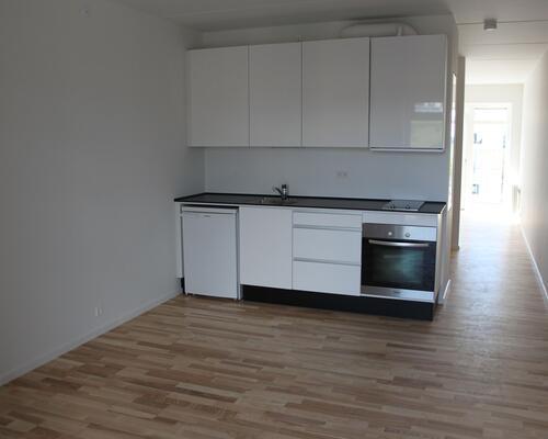 Lys 2-værelses studiebolig på Eternitten i Aalborg