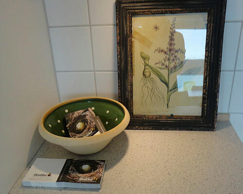 1 værelses hus i Saltum