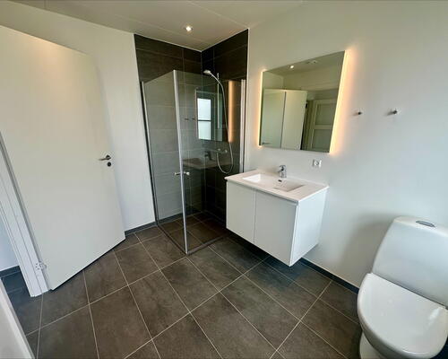 3 værelses hus i Silkeborg