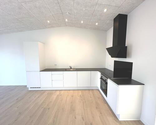 4 værelses hus i Viborg