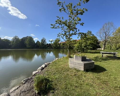 Er det her du skal bo?