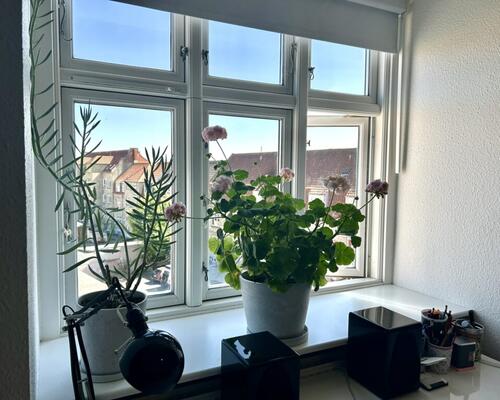 Er det her du skal bo?