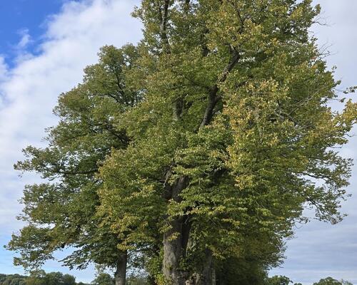 5 værelses lejlighed i Jyderup