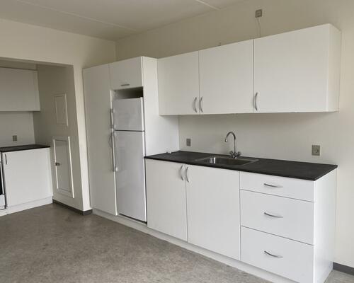 1 værelses lejlighed i Viborg