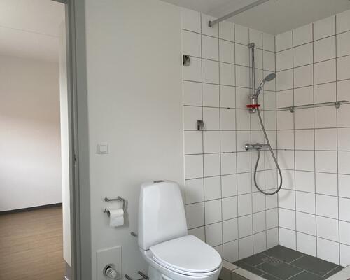 2 værelses lejlighed i Viborg