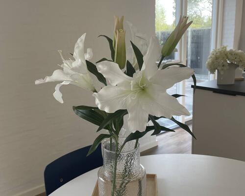 4 værelses lejlighed i Odense NØ