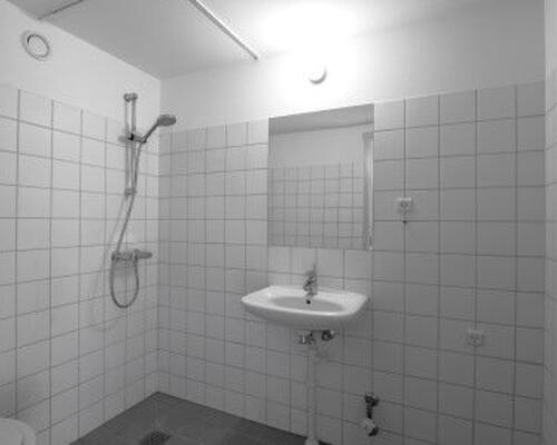 Studiebolig på havnen i Aalborg med mulighed for husdyr