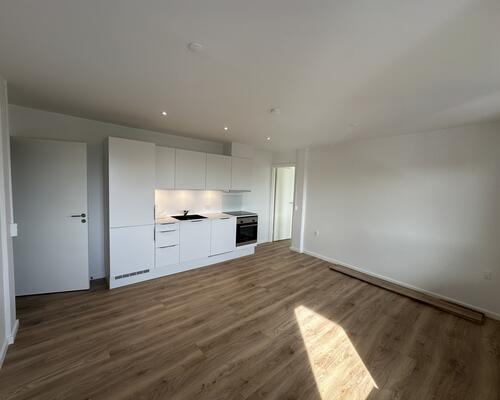 2 værelses lejlighed i Ikast