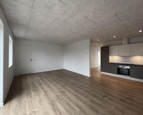 4 værelses rækkehus søger ny familie