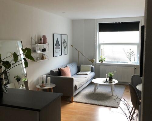 Rummelig 1-værelses lejlighed i Nørresundby - husdyr tilladt