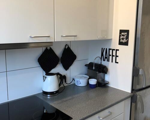 Rummelig 1-værelses lejlighed i Nørresundby - husdyr tilladt