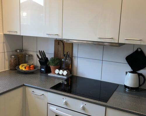 Rummelig 1-værelses lejlighed i Nørresundby - husdyr tilladt