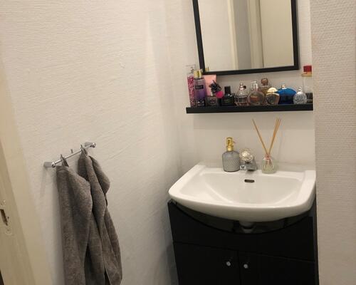 Rummelig 1-værelses lejlighed i Nørresundby - husdyr tilladt