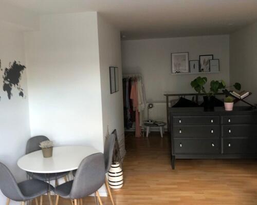 Rummelig 1-værelses lejlighed i Nørresundby - husdyr tilladt