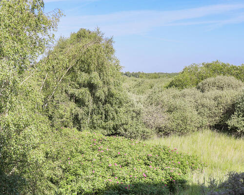 2 værelses lejlighed i HeerupHave